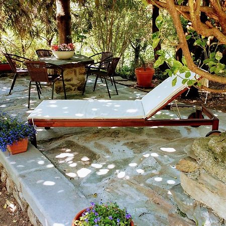 Casa Visnenza Bed & Breakfast Capo di Ponte Eksteriør billede