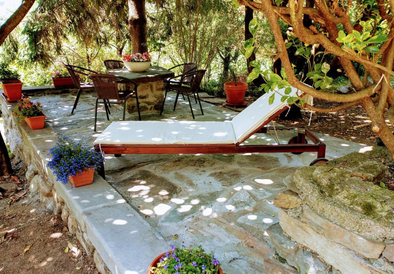 Casa Visnenza Bed & Breakfast Capo di Ponte Eksteriør billede